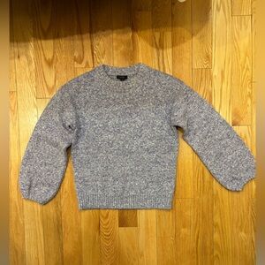 J.Crew Purple Knit Sweater